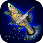 清鱼师傅免广告最新版安卓下载