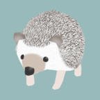 刺猬生活2025ios版