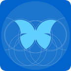 圆形之美2025苹果版