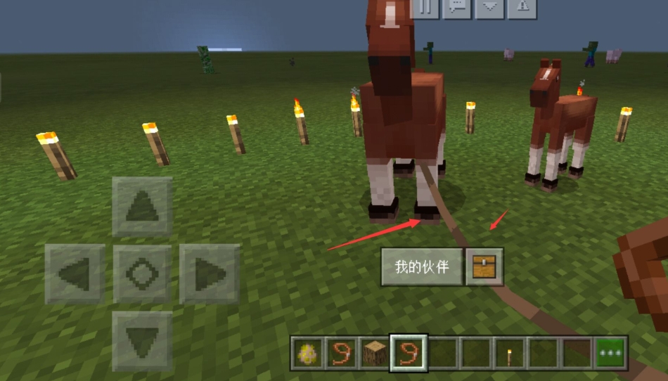 我的世界栓绳有什么用