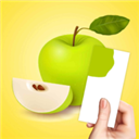 色彩搭配手机ios版下载