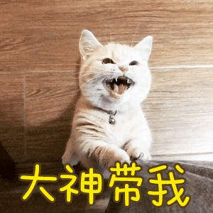 迷你世界闪字如何打（迷你世界闪字汇总）