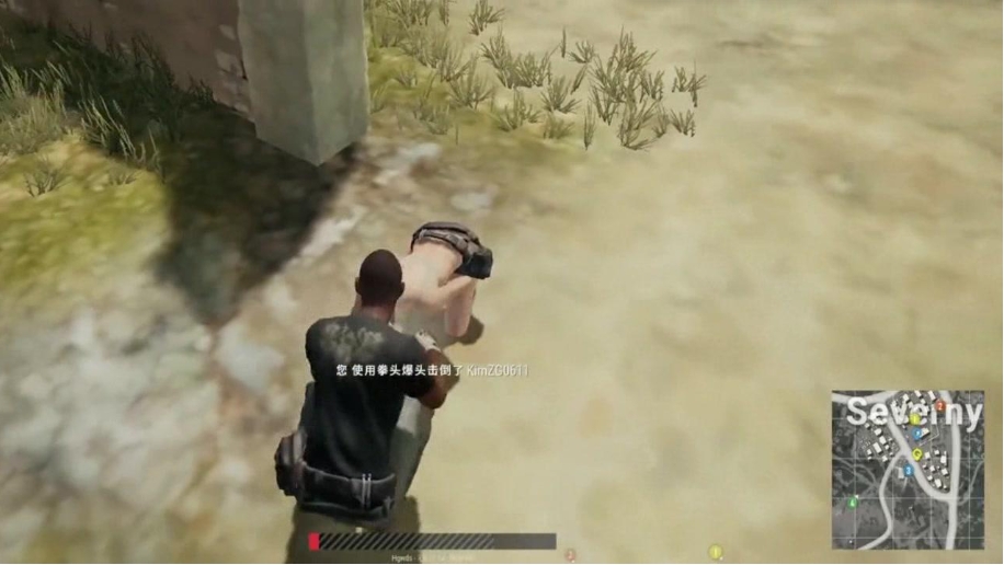 绝地求生怎么用拳头打人