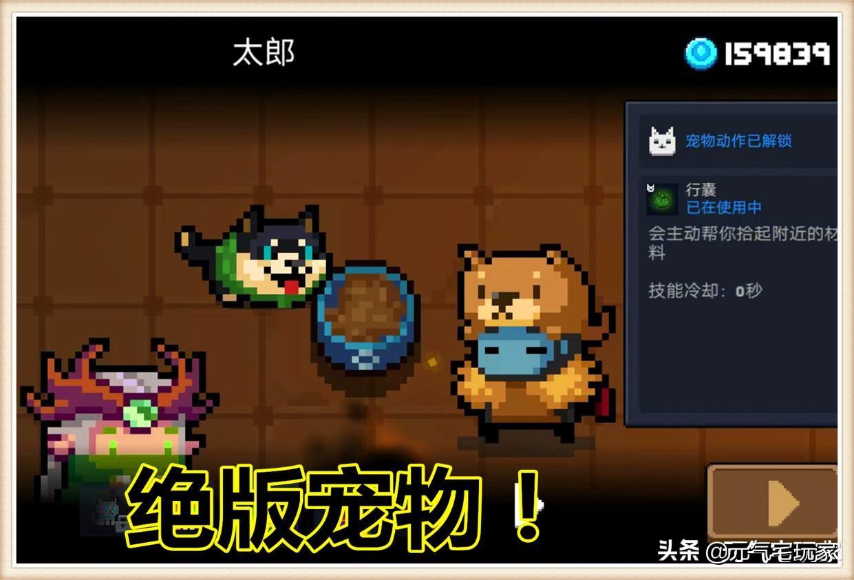 元气骑士宠物如何换（元气骑士宠物在什么位置换）