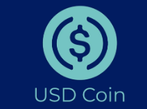 USDC币交易所下载