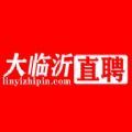 大临沂直聘最新下载安卓版