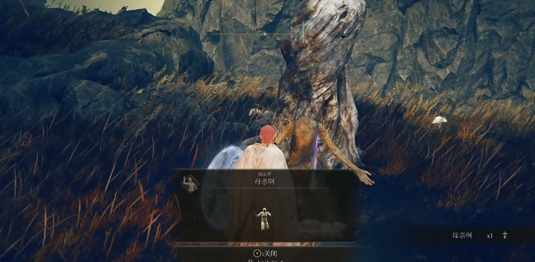 艾尔登法环金黄色编发在哪