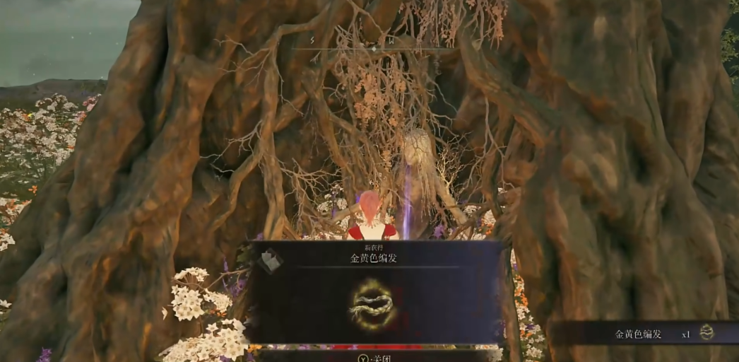 艾尔登法环金黄色编发在哪