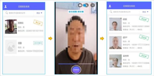 定期报告系统图片7