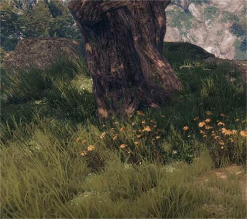 下一站江湖2松木怎么获取