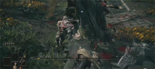 艾尔登法环缝合怪怎么打