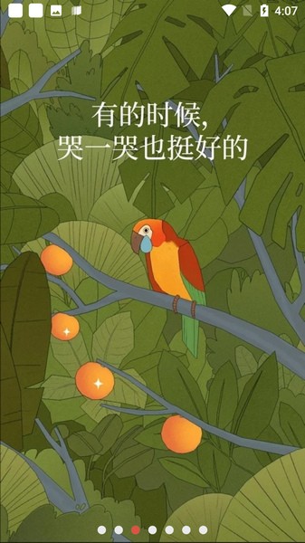 孤独的鸟儿ios版