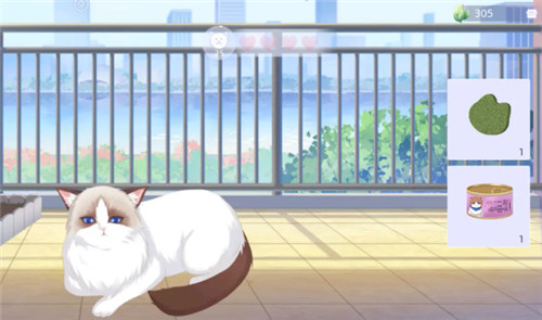 猫之宿约者应用宝版截图4