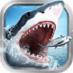 全民钓鱼无限钻石金币安卓版游戏