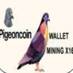 Pigeoncoin鸽子币app官网下载最新版
