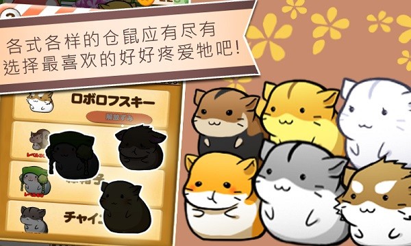 仓鼠的日常苹果2025版