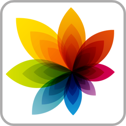 精灵动态壁纸大全下载2024版本