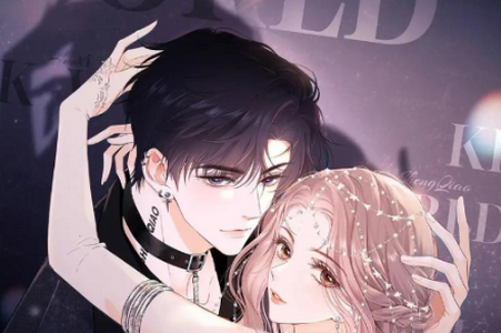 集云数据漫画app手机官方版