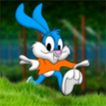 比尼兔冒险世界无限生命免费版安卓