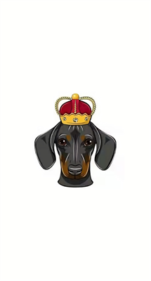 dogeking币合约地址