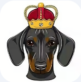 dogeking手机挖矿官方下载