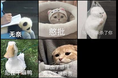 图片滑动分类器app手机最新版