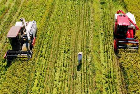 智慧农业云平台app