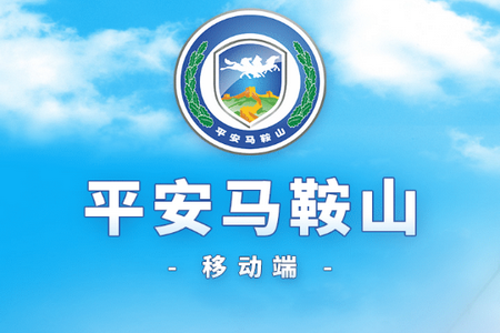 平安马鞍山信息化平台