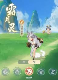 灵兽大冒险有什么职业