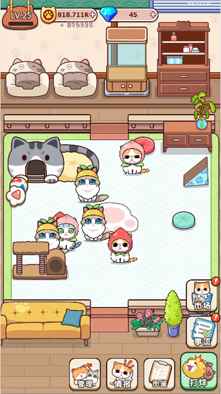 蓝星猫猫教官方版