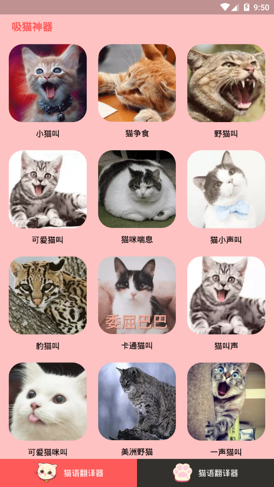 人猫交流器app手机官方版