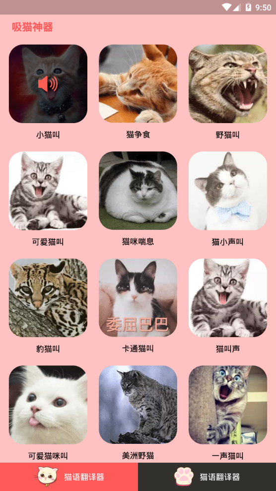 人猫交流器app手机官方版