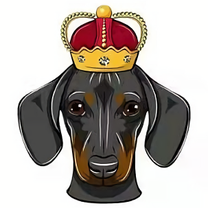 dogeking狗王币官网app