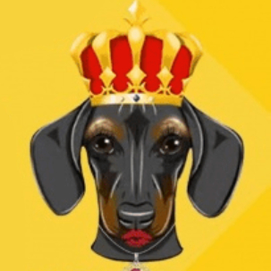 dog queen狗女皇币下载链接