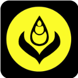 波尔公链BoHr官方app