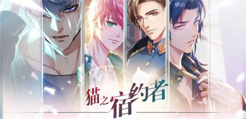 猫之宿约者九游版图片2