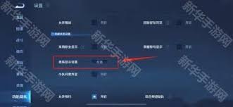 王者荣耀皮肤共享怎么关闭