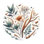 中医宝典中药词典最新版