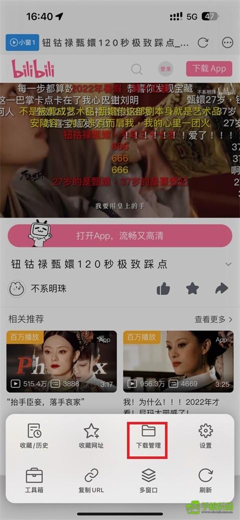 苹果手机浏览器攻略