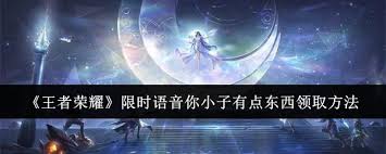 王者荣耀如何获取你小子有点东西语音