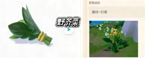 新庆典新加野菜详解配图3