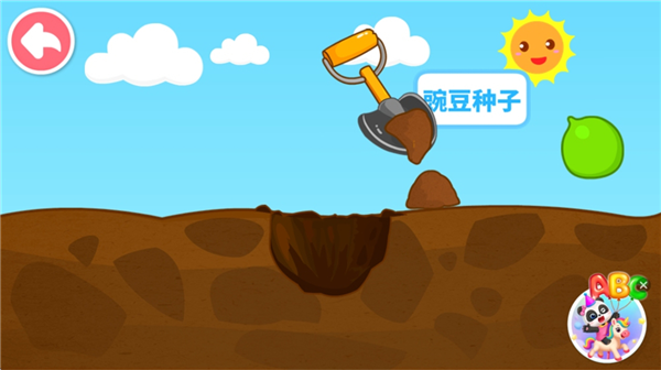 怎么让宝宝认识种子配图3