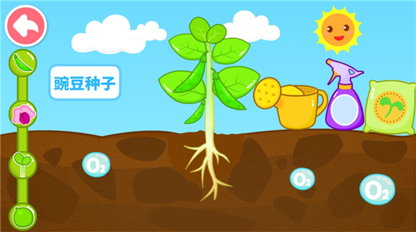 怎么让宝宝认识种子配图7