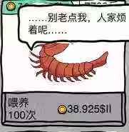 宝物介绍配图3