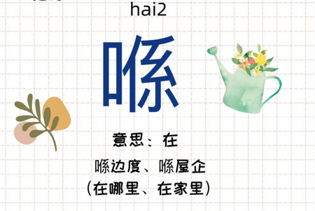 粤语屋官方版