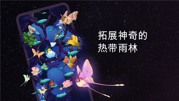 彩翼之星夜图片