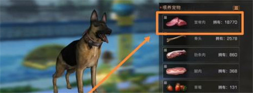 明日之后如何喂养宠物?明日之后喂养宠物方法详情介绍攻略