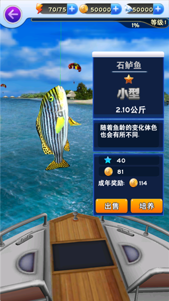 新手指南配图5