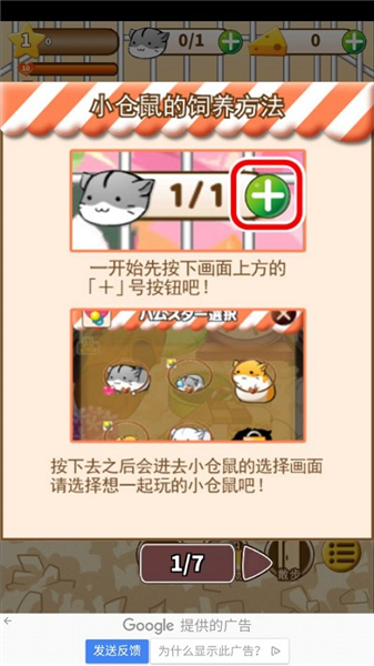 仓鼠的日常饲养技巧配图1